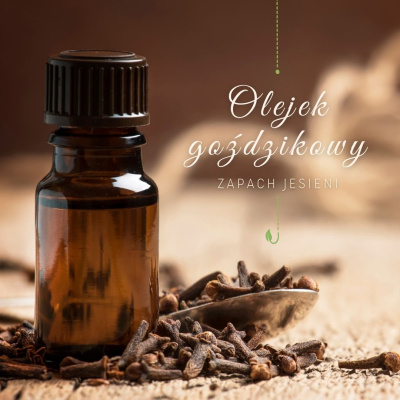 Walory zapachowe olejków eterycznych odgrywają ogromną rolę, dlatego tak często decydujemy się na rozpraszanie ich aromatu w naszych ...