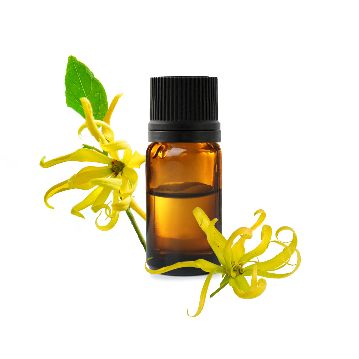 Olejek eteryczny Ylang Ylang (Complète): jak prawidłowo go stosować?