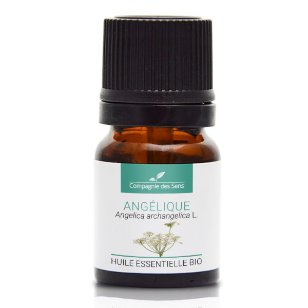 Angelica (dzięgiel litwor) - naturalny olejek eteryczny 2,5ml, OL571