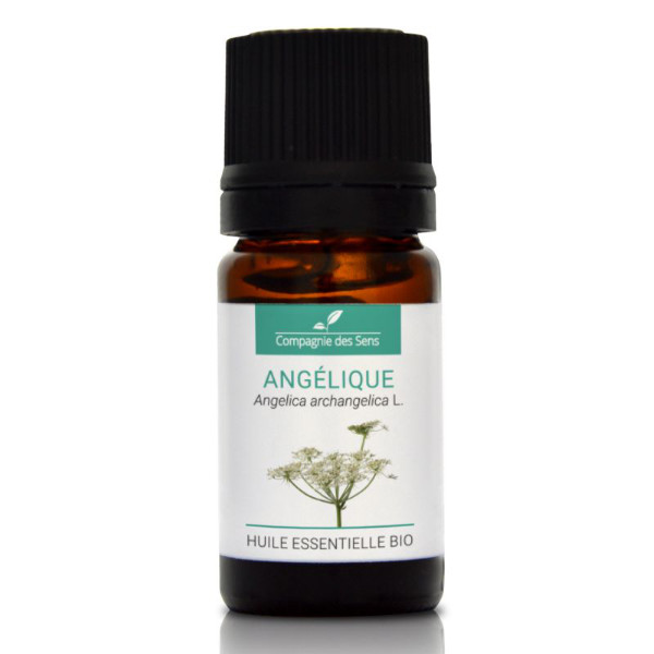 Angelica (dzięgiel litwor) - naturalny olejek eteryczny 5ml, OL569