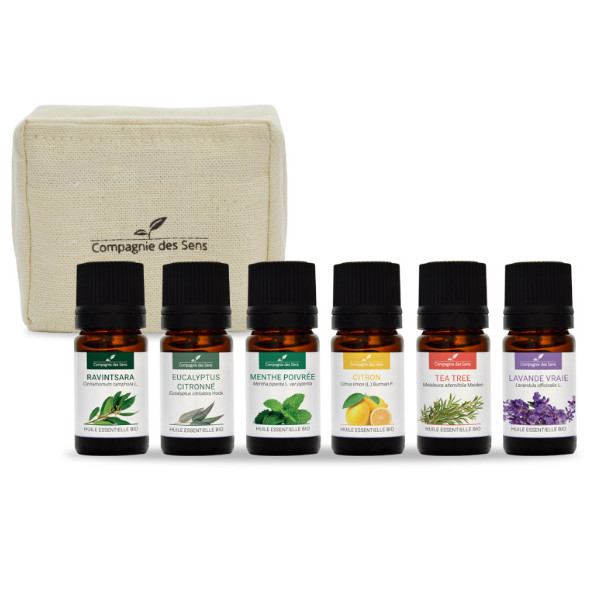 Zestaw do aromaterapii dla początkujących – 6 organicznych olejków eterycznych w bawełnianym etui