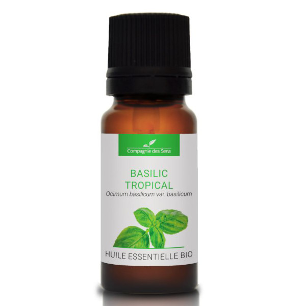 Bazylia tropikalna - naturalny olejek eteryczny 10 ml