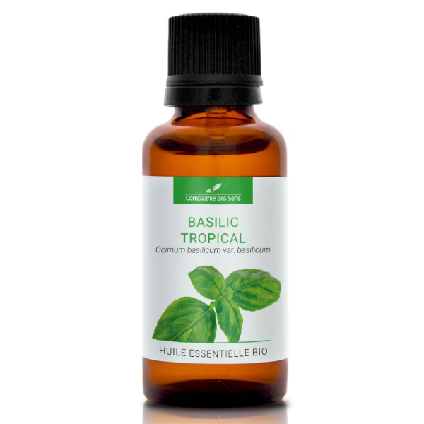 Bazylia tropikalna - naturalny olejek eteryczny 30 ml, OL153