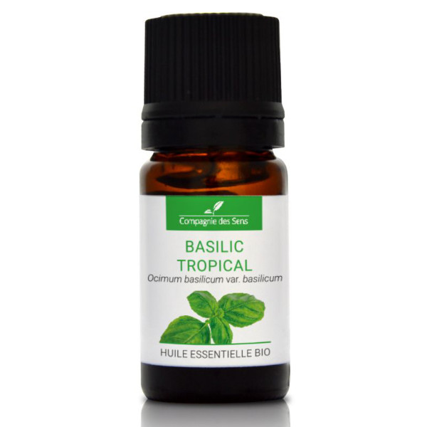 Bazylia tropikalna - naturalny olejek eteryczny 5 ml