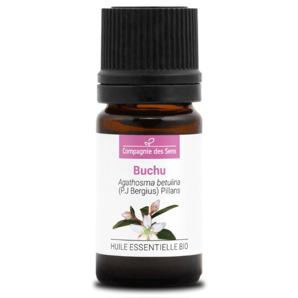 Bukko brzozowe - naturalny olejek eteryczny 5 ml