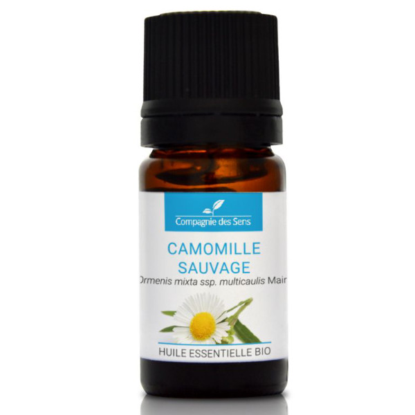 Dziki rumianek - naturalny olejek eteryczny 5ml