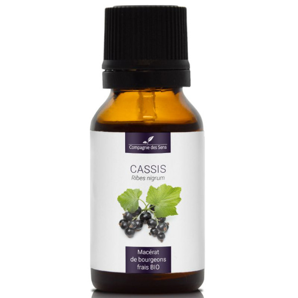 Naturalny macerat z pąków - CZARNA PORZECZKA 15 ml