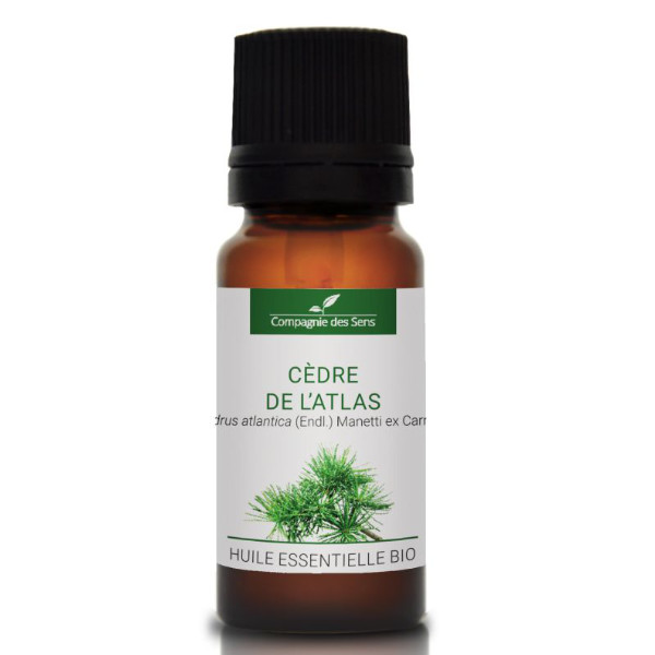 Cedr atlaski - naturalny olejek eteryczny 10 ml