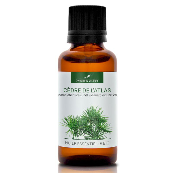 Cedr atlaski - naturalny olejek eteryczny 30 ml, OL118