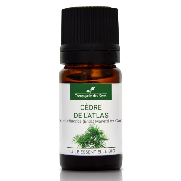 Cedr atlaski - naturalny olejek eteryczny 5 ml
