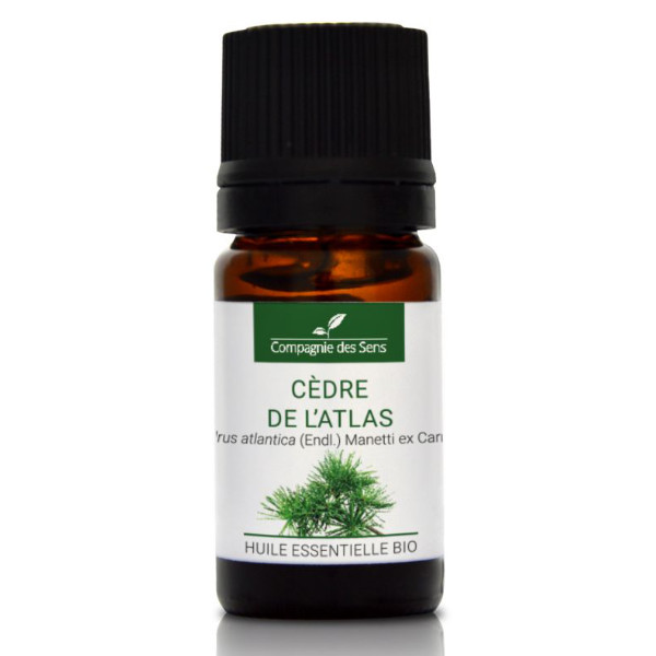 Cedr atlaski - naturalny olejek eteryczny 5 ml, OL116