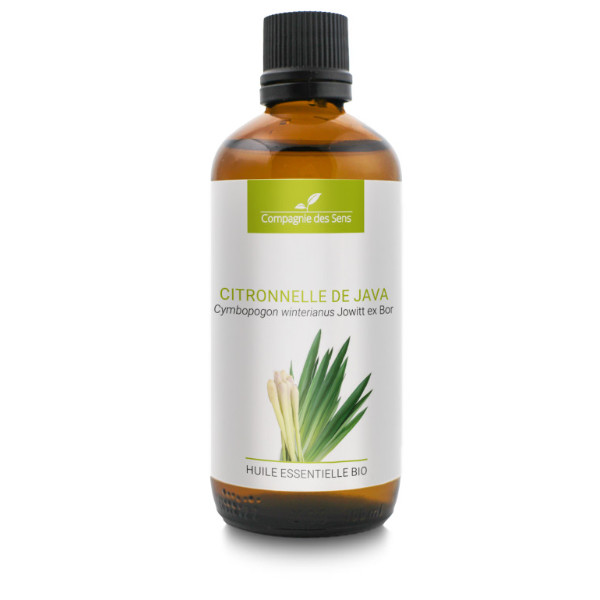 Cytronella Java - naturalny olejek eteryczny 100 ml, OL76