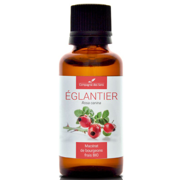 Naturalny macerat z pąków - DZIKA RÓŻA 30ml