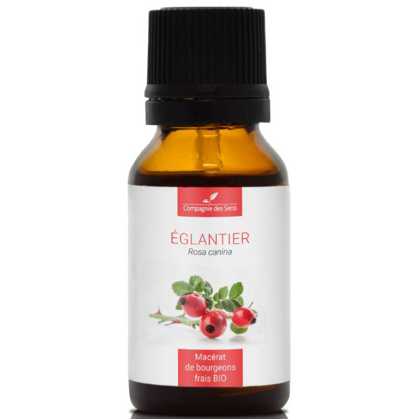 Naturalny macerat z pąków - DZIKA RÓŻA 15ml