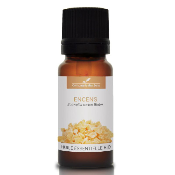 Kadzidłowiec - naturalny olejek eteryczny 10 ml