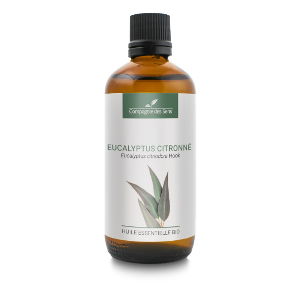 Eukaliptus cytrynowy - naturalny olejek eteryczny 100 ml, OL72