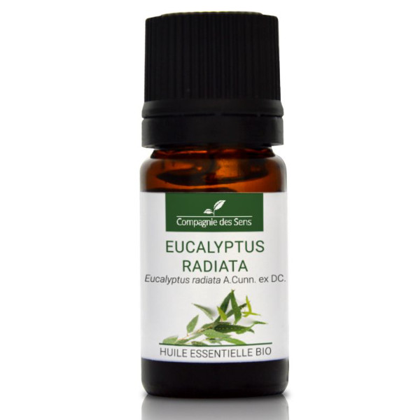 Eukaliptus promienisty - naturalny olejek eteryczny 5 ml, OL112
