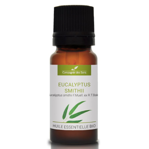 Eukaliptus smithii - naturalny olejek eteryczny 10ml, OL610