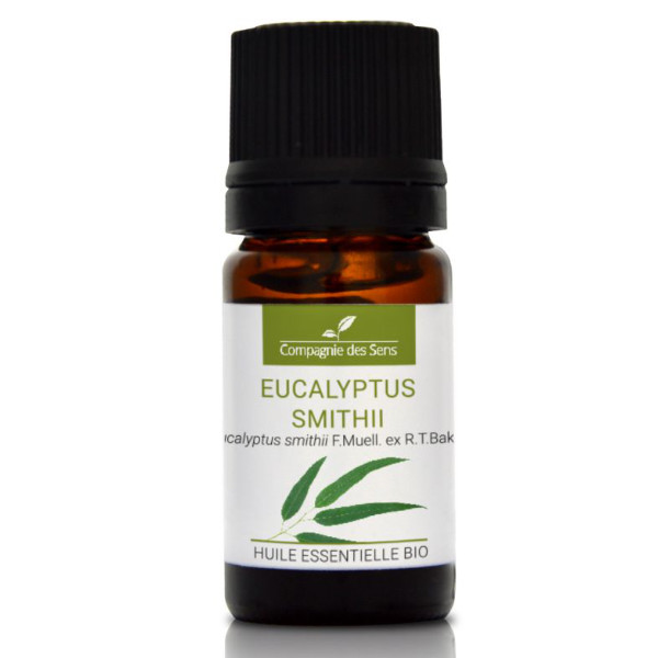 Eukaliptus smithii - naturalny olejek eteryczny 5ml Eukaliptus smithii - naturalny olejek eteryczny 5ml
