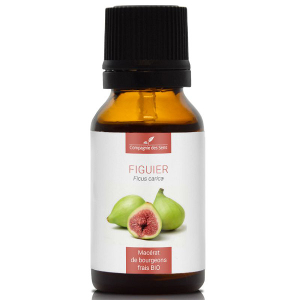 Naturalny macerat z pąków - DRZEWO FIGOWE 15 ml