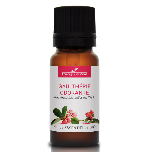 Wintergreen (Gaultheria fragrantissima) - naturalny olejek eteryczny 10 ml