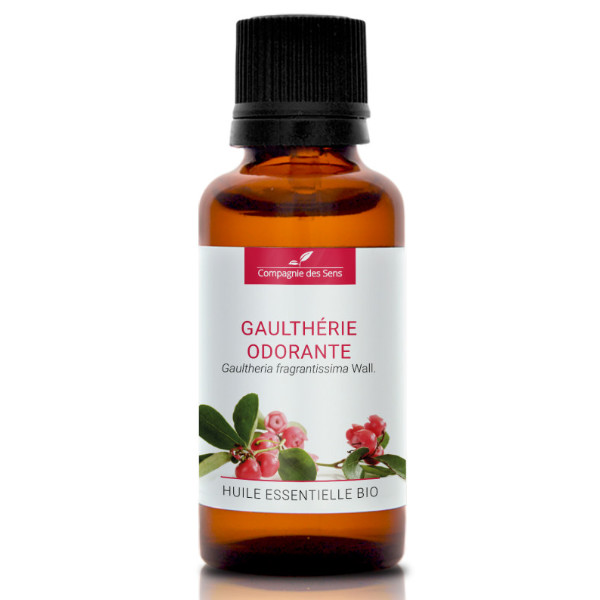 Wintergreen (Gaultheria fragrantissima) - naturalny olejek eteryczny 30 ml