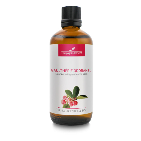 Wintergreen (Gaultheria fragrantissima) - naturalny olejek eteryczny 100 ml, OL94