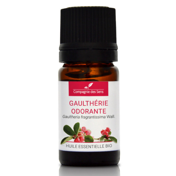 Wintergreen (Gaultheria fragrantissima) - naturalny olejek eteryczny 5 ml, OL89