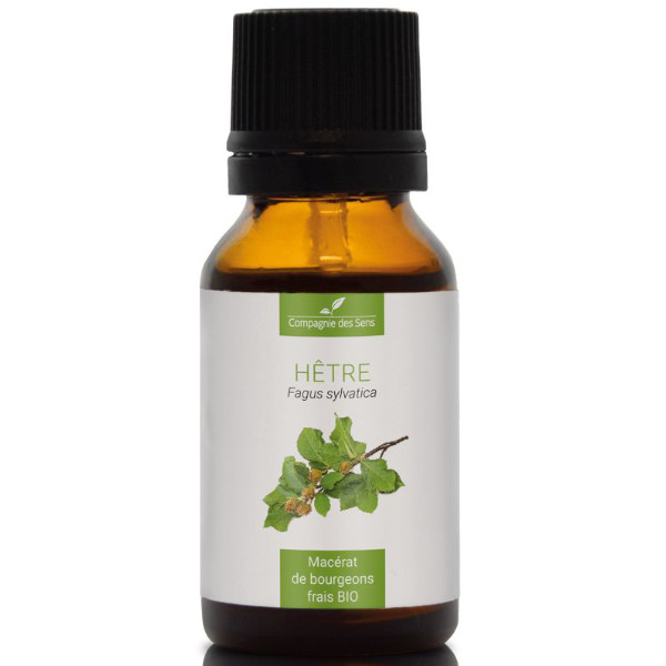 Naturalny macerat z pąków - BUK 15ml Naturalny macerat z pąków - BUK 15ml