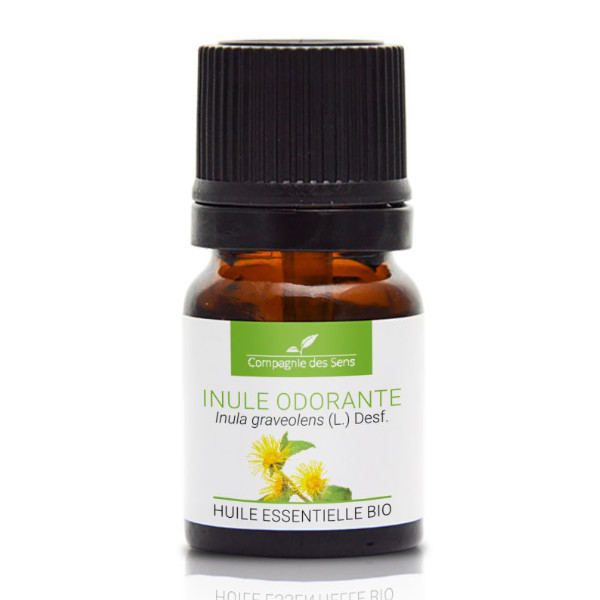 Inula (oman) - naturalny olejek eteryczny 2,5ml, OL616