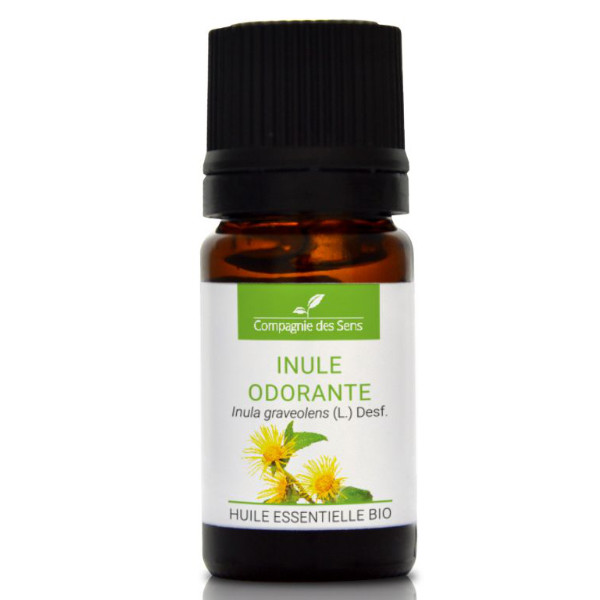 Inula (oman) - naturalny olejek eteryczny 5ml, OL615