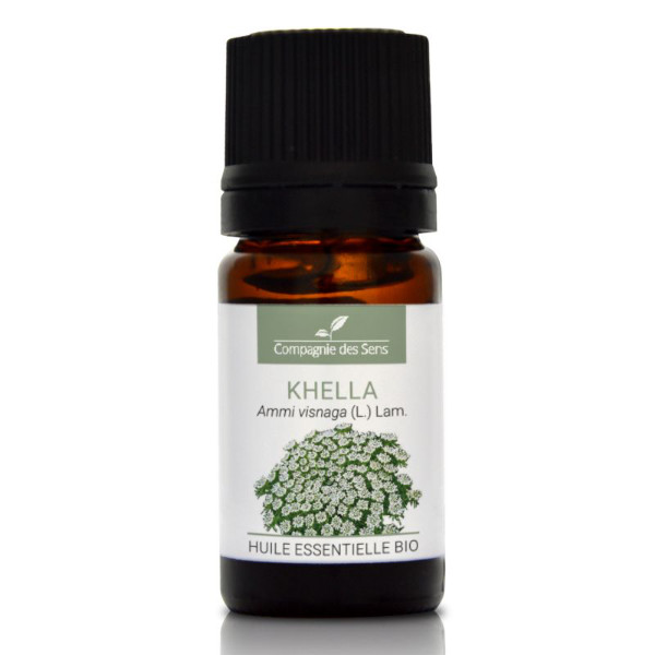 Khella (aminek egipski) - naturalny olejek eteryczny 5 ml