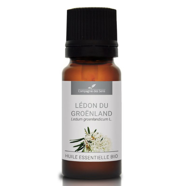 Ledum (bagno grenlandzkie) - naturalny olejek eteryczny 10 ml, OL557