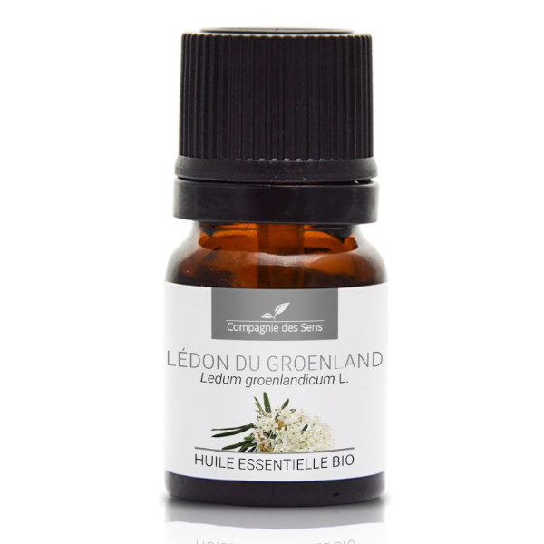 Ledum (bagno grenlandzkie) - naturalny olejek eteryczny 2,5 ml