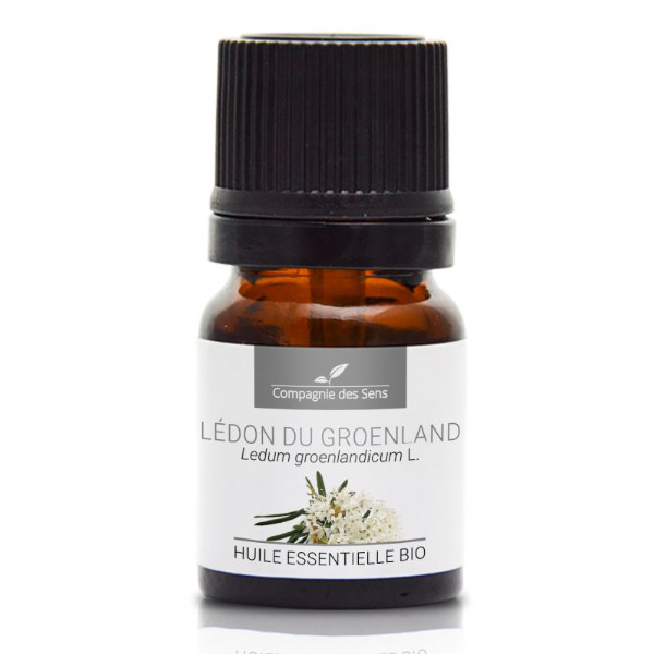 Ledum (bagno grenlandzkie) - naturalny olejek eteryczny 2,5 ml, OL558