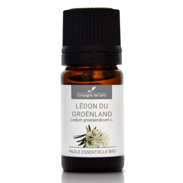 Ledum (bagno grenlandzkie) - naturalny olejek eteryczny 5 ml