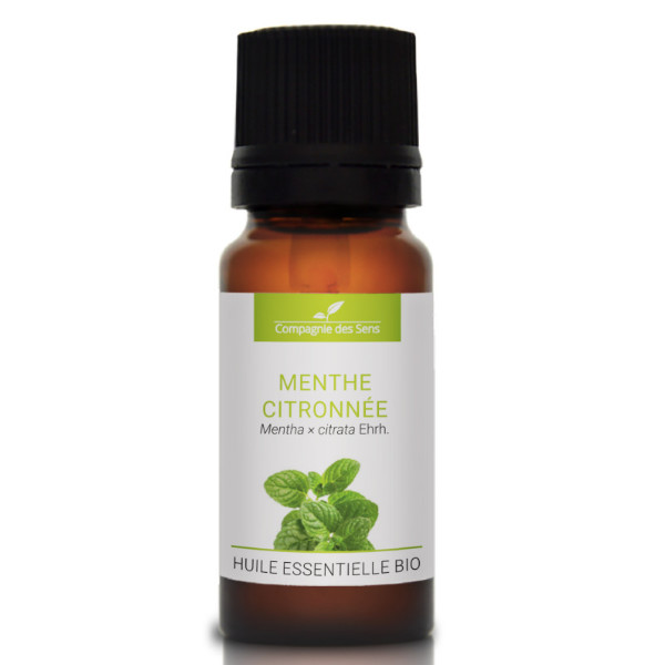 Mięta cytrynowa - naturalny olejek eteryczny 10ml, OL614