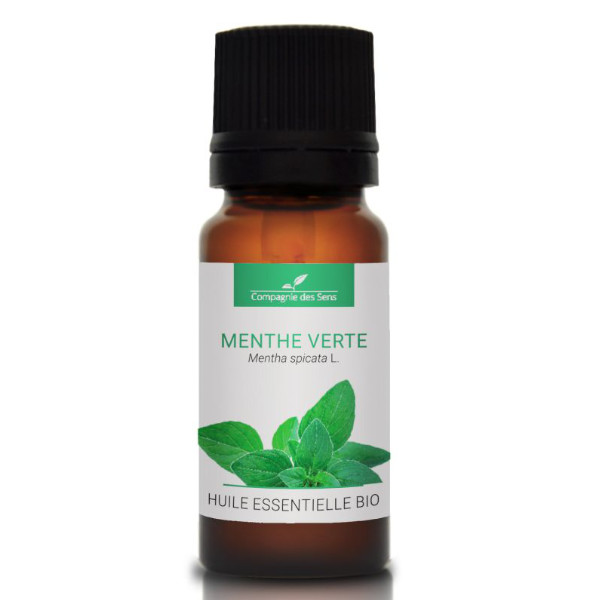 Mięta zielona - naturalny olejek eteryczny 10ml, OL575