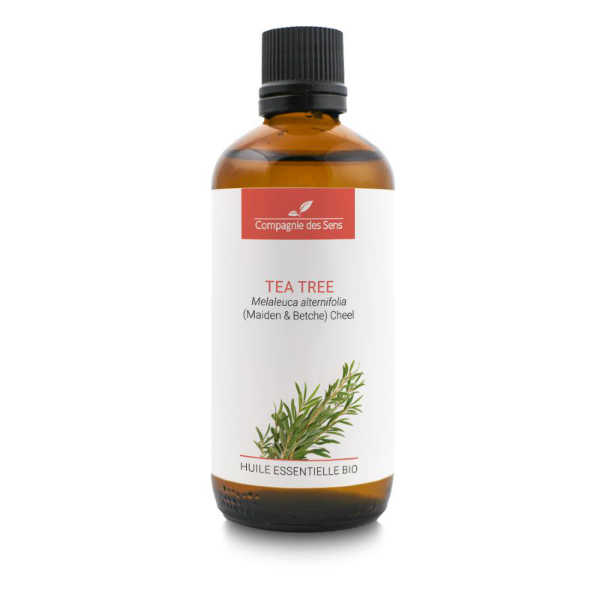 Drzewo herbaciane - naturalny olejek eteryczny 100ml