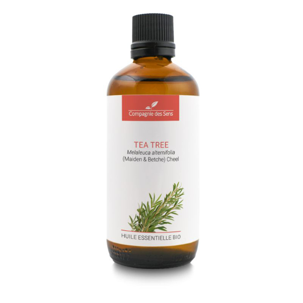Drzewo herbaciane - naturalny olejek eteryczny 100ml Drzewo herbaciane - naturalny olejek eteryczny 100ml
