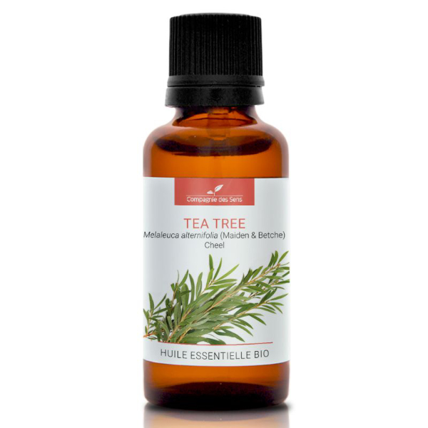 Drzewo herbaciane - naturalny olejek eteryczny 30ml, OL58