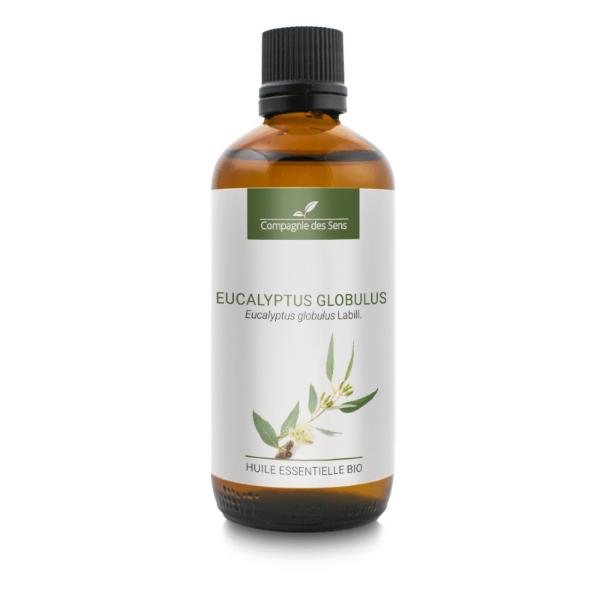 Eukaliptus gałkowy - naturalny olejek eteryczny 100 ml, OL198