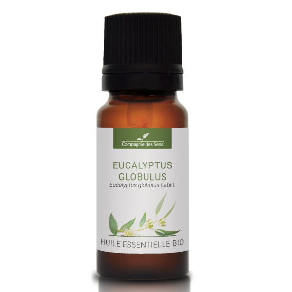 Eukaliptus gałkowy - naturalny olejek eteryczny 10 ml