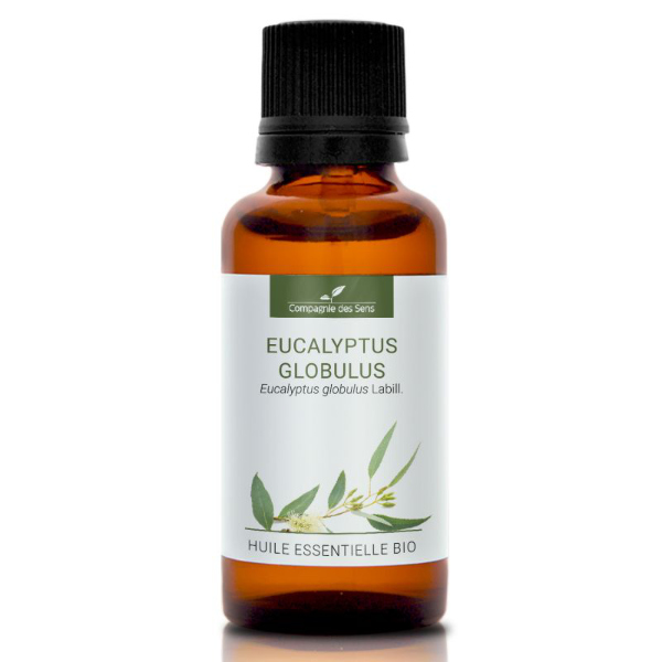 Eukaliptus gałkowy - naturalny olejek eteryczny 30 ml