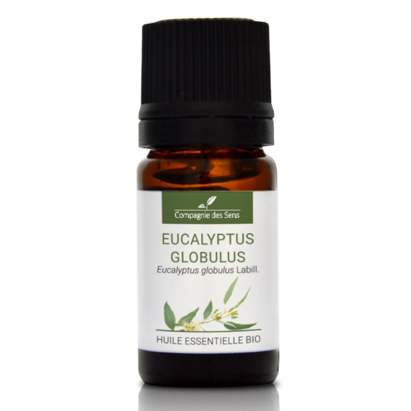 Eukaliptus gałkowy - naturalny olejek eteryczny 5 ml, OL195