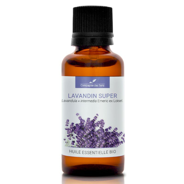 Lawenda pośrednia (Lavandin Super) - naturalny olejek eteryczny 30 ml