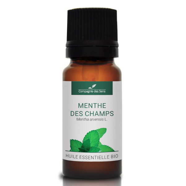 Mięta polna - naturalny olejek eteryczny 10 ml