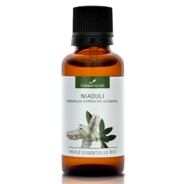 Niaouli - naturalny olejek eteryczny 30 ml, OL173