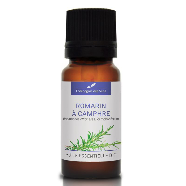 Rozmaryn (typ kamfora) - naturalny olejek eteryczny 10 ml