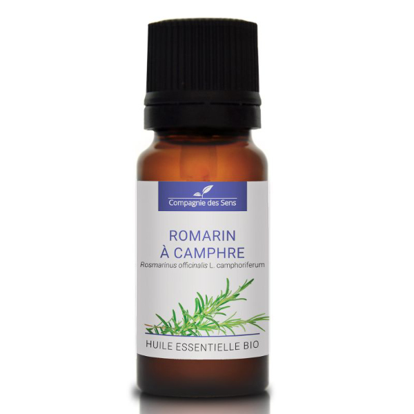 Rozmaryn (typ kamfora) - naturalny olejek eteryczny 10 ml, OL222